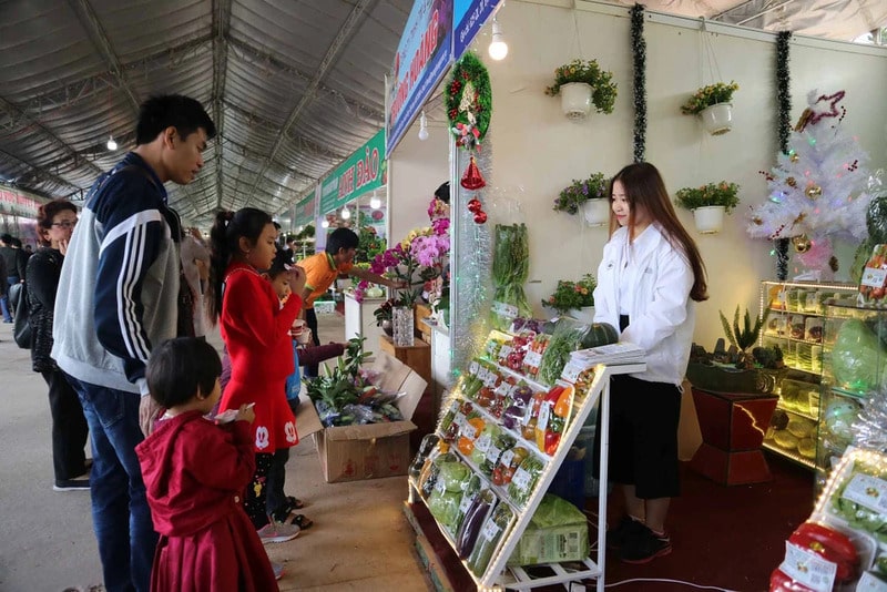 Lễ Hội Festival Hoa Đà Lạt 