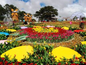 Lễ Hội Festival Hoa Đà Lạt