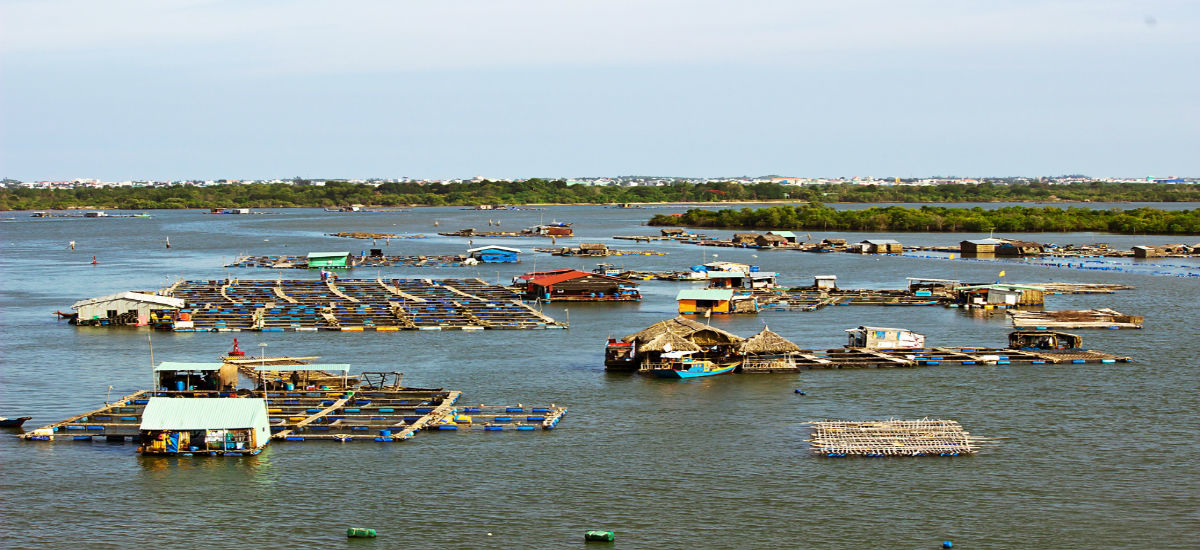 tour du lịch 2 ngày 1 đêm Hồ Tràm Vũng Tàu