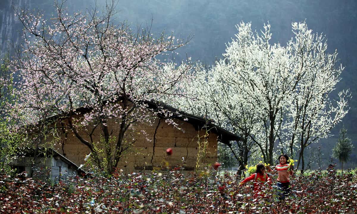 Tour du lịch sapa 3 ngày 2 đêm