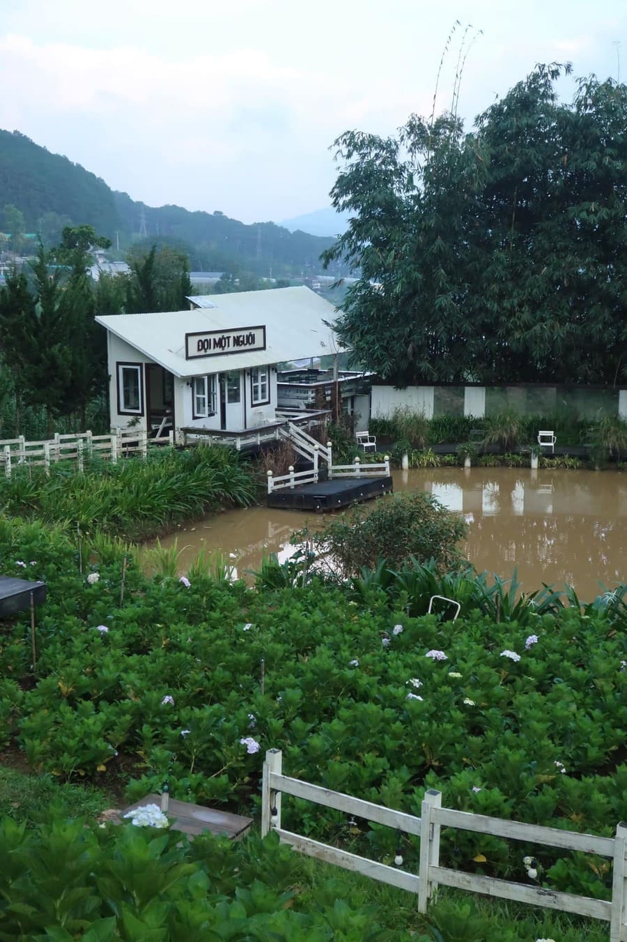 homestay Đà Lạt view núi rừng