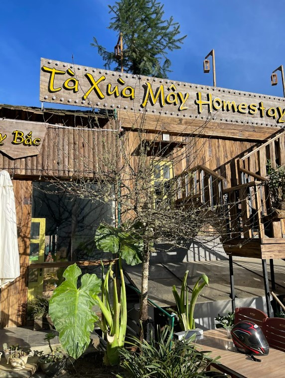 homestay ở tà xùa đẹp